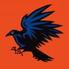 Nice Crow APK