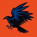 Nice Crow