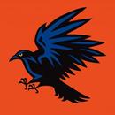 Nice Crow-APK