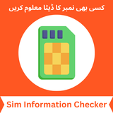 Sim Info Ownership