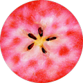 Rubra