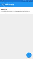 SQLite Manager Affiche