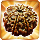 Rudraksha-icoon