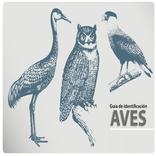 Guia de Aves