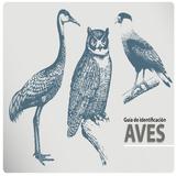 Guia de Aves APK