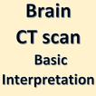 Brain CT Scan Interpretation アイコン