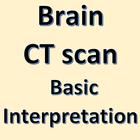 Brain CT Scan Interpretation icône