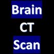CT Scan of Brain icon