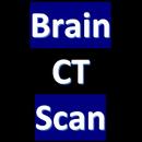 CT Scan of Brain APK