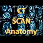 آیکون‌ CT Scan Anatomy