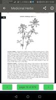 Medicinal Herbs-poster