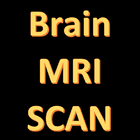 MRI Scan View Anatomy icône