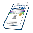 ikon mindset: the new psychology of success