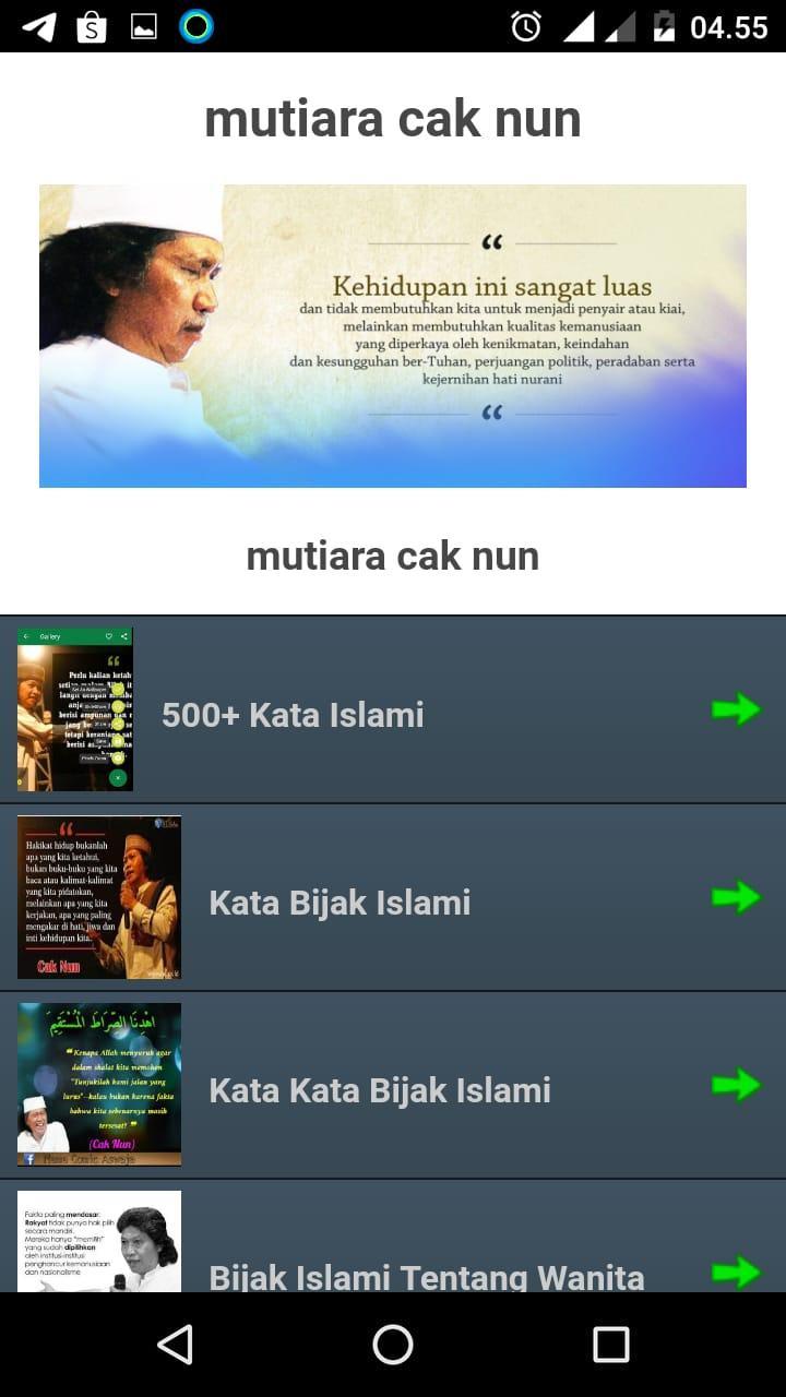 Kata Bijak Hidup Cak Nun Offline Für Android Apk Herunterladen