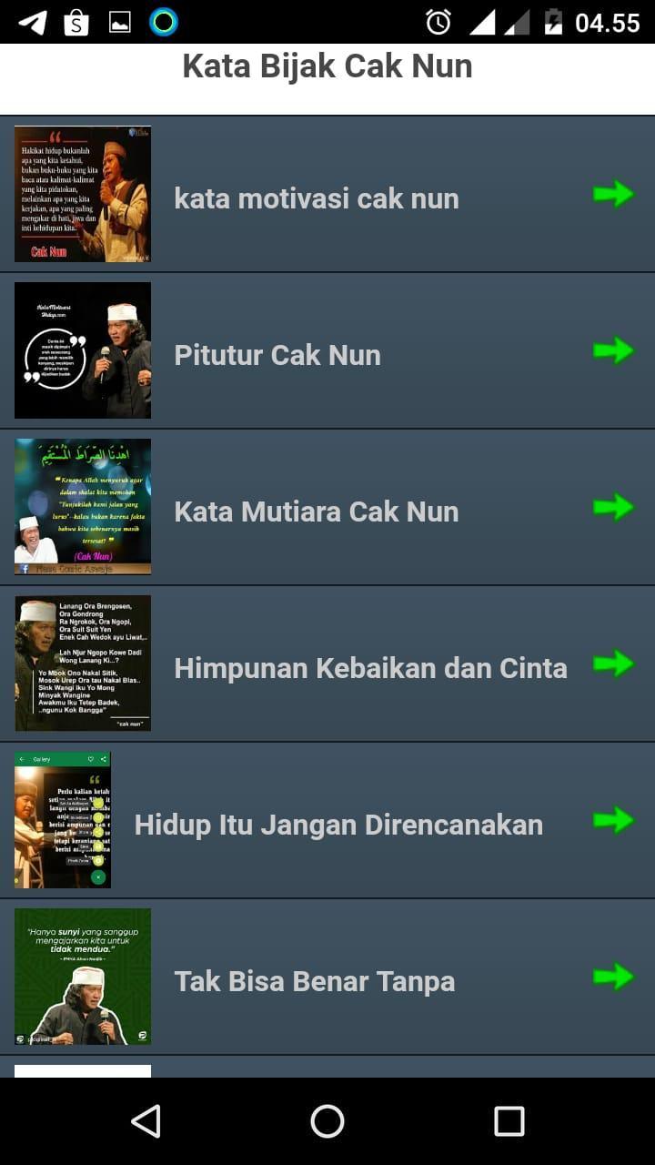 Kata Bijak Hidup Cak Nun Offline For Android Apk Download