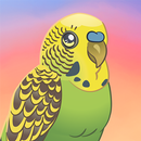 Bird Kind APK