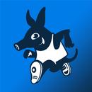 Aardvark Aapp APK