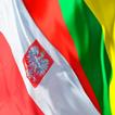 Русско литовский польский раз.