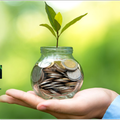 Tips for Wealth