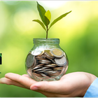 Tips for Wealth আইকন