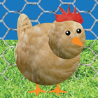 Chicken Pet Game ícone