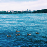 Tashlich biểu tượng