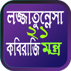 লজ্জাতুন্নেসা ২১ মন্ত্র বই ícone