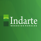 Indarte 图标