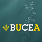 BuCEa 아이콘