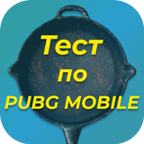 Тест по PUBG icono