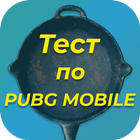 Тест по PUBG icon