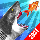 Hungry Shark Attack Game 3D