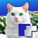 Jigsaw Puzzles Blocks APK