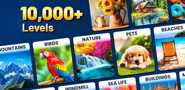Jigsaw Puzzles: Picture Puzzle