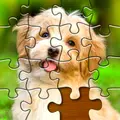Jigsaw Puzzles Pro