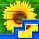 Puzzle: Game Jigsaw Puzzle APK