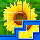 Puzzles : Jeux de puzzles APK