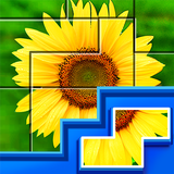 Puzzles : Jeux de puzzles