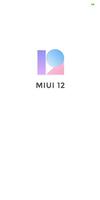 1 Schermata MIUI 12 Downloader