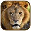 ”Animal Images App