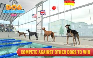 Evcil köpekler yüzme yarışı gönderen