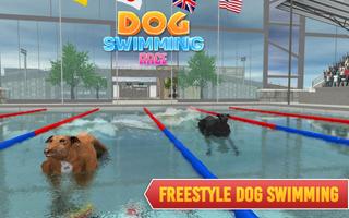 Dog Swimming Race 3D screenshot 2