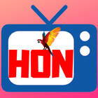 Hon Tv আইকন