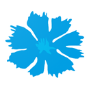 Meç Bahçeli APK