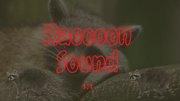 Raccoon Sounds capture d'écran 1