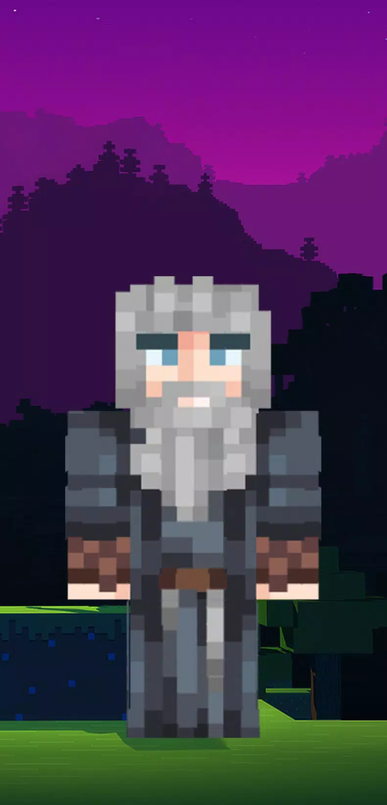 Wizard Skin  Minecraft Skin