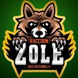 Игра в карты Золе: RaccoonZole