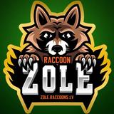 Zole kāršu spēle: RaccoonZole icône