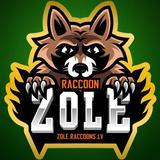 Zole kāršu spēle: RaccoonZole APK