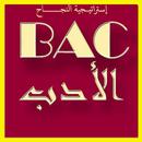 دروس و ملخصات الأدب العربي BAC 2019 APK